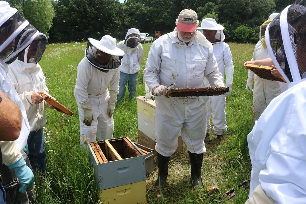 Apiary beekeeping classes