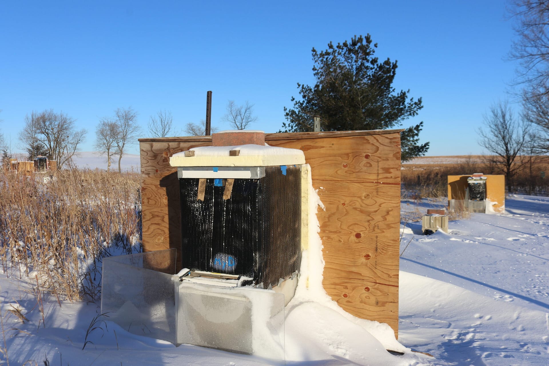 Bee Hive wrapped with wind break for winter protection